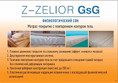Z-ZELIOR GsG