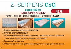 Z-SERPENS GsG