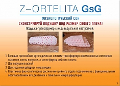 Z-ORTELITA GsG